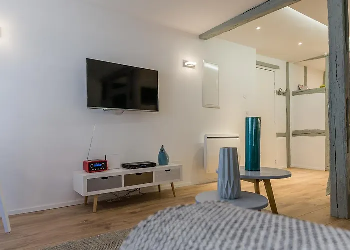 Grand Studio Centre Apartment *