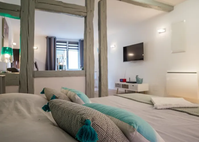 Daire Grand Centre Colmar